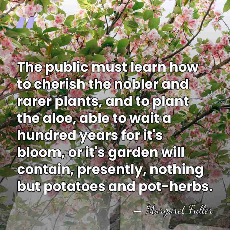 The public must learn how to cherish the nobler and rarer plants,&hellip; - Margaret Fuller
