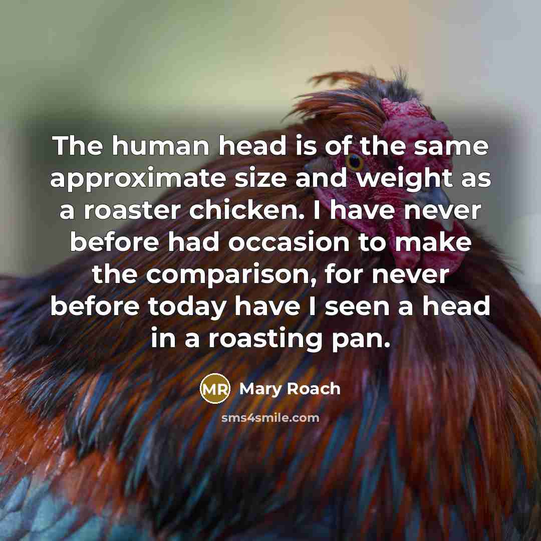 “The human head is of the same approximate size and…” quote by Mary Roach