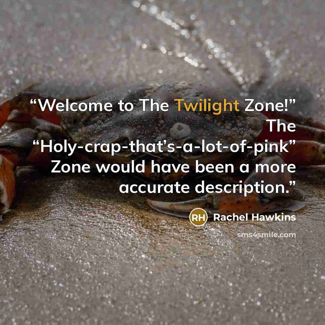 “Welcome to The Twilight Zone!” The “Holy-crap-that’s-a-lot-of-pink” Zone would have been a more accurate description.” quote by Rachel Hawkins