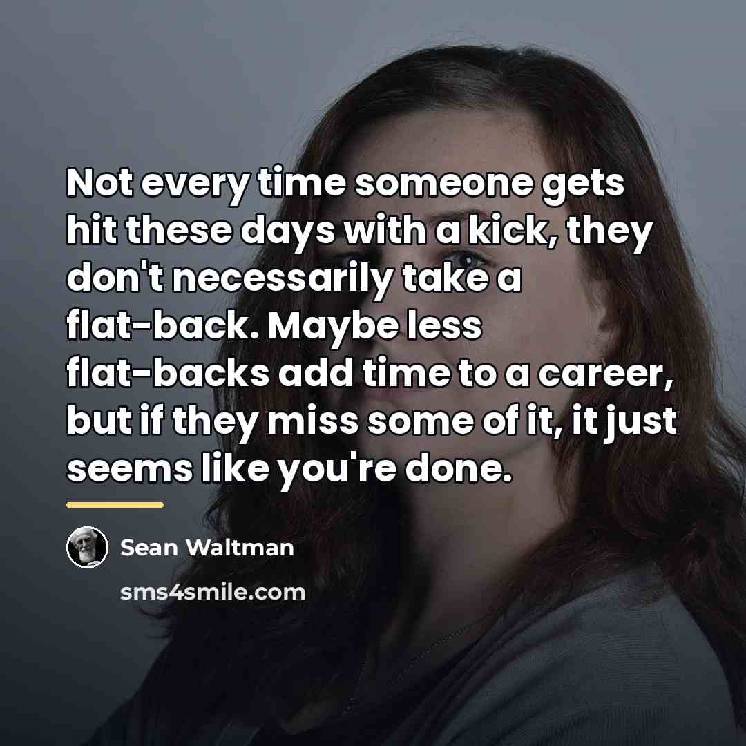 “Not every time someone gets hit these days with a…” quote by Sean Waltman