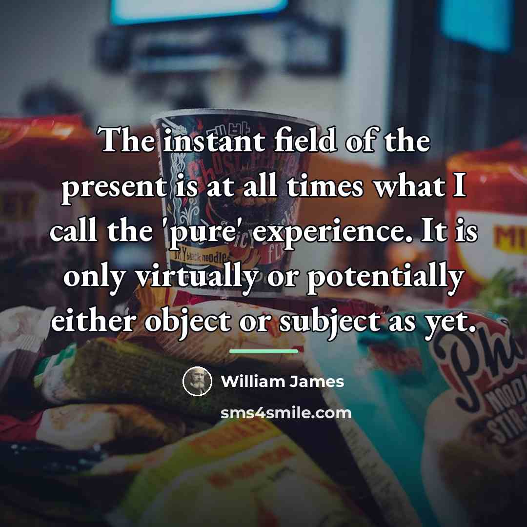 “The instant field of the present is at all times…” quote by William James