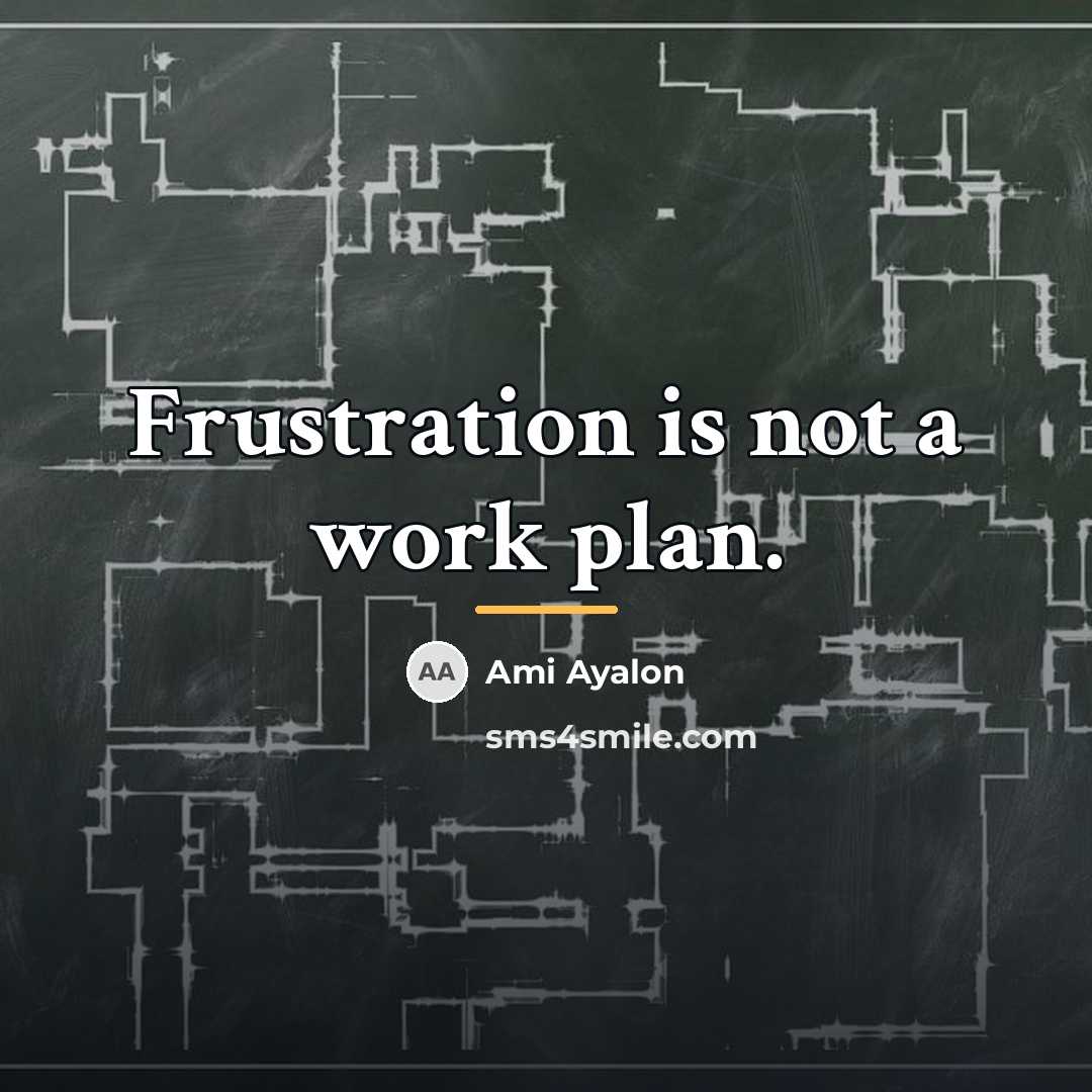 “Frustration is not a work plan.…” quote by Ami Ayalon