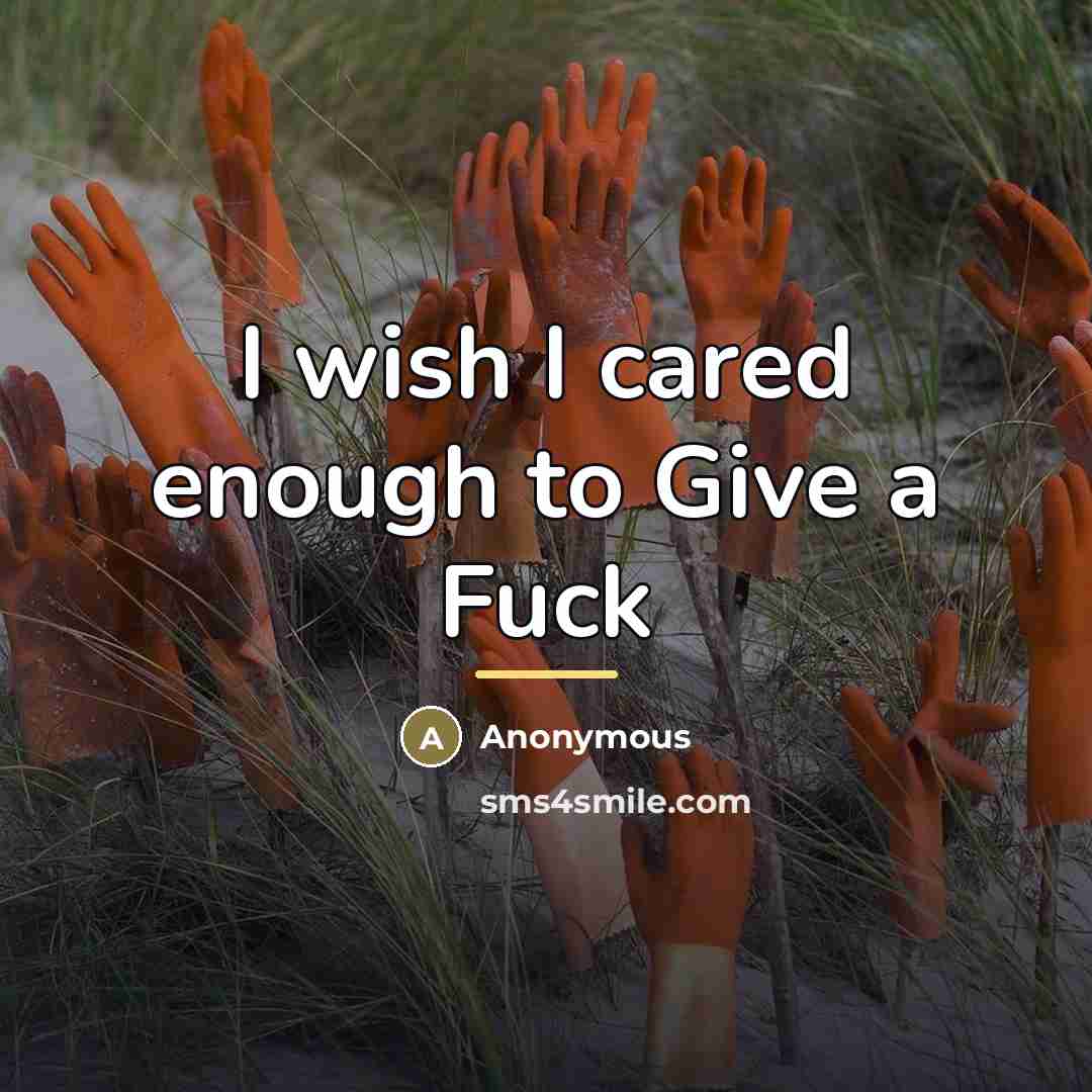 “I wish I cared enough to Give a Fuck…” quote by Anonymous