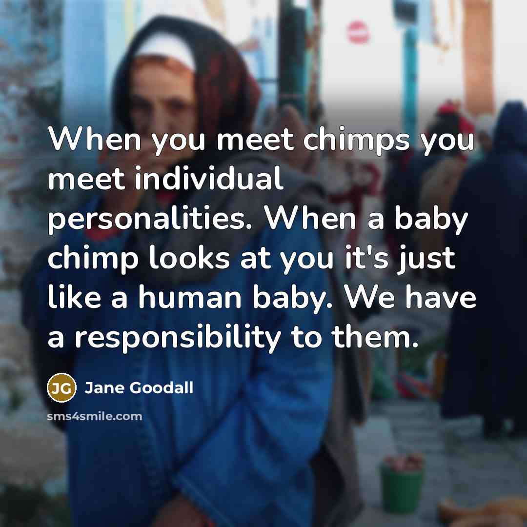 “When you meet chimps you meet individual personalities. When a…” quote by Jane Goodall