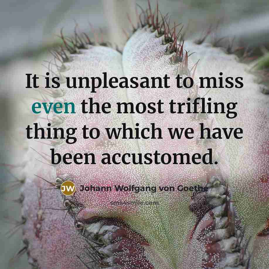 “It is unpleasant to miss even the most trifling thing…” quote by Johann Wolfgang von Goethe