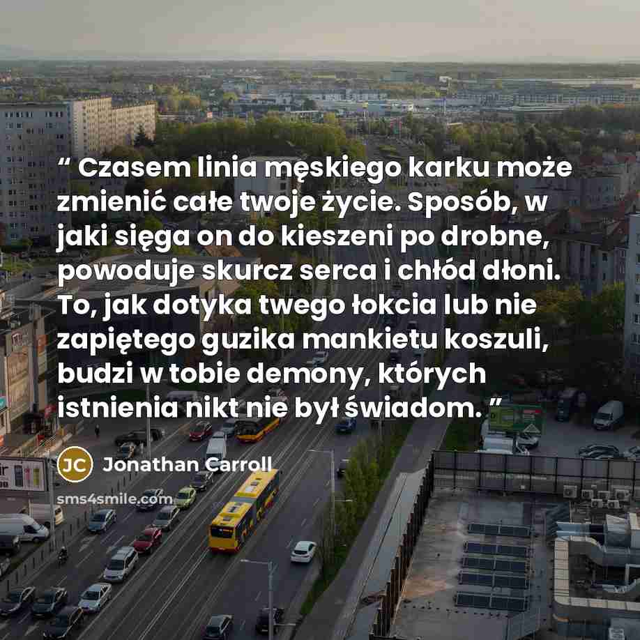 “Cza­sem li­nia męskiego kar­ku może zmienić całe two­je życie. Sposób, w ja­ki sięga on do kie­sze­ni po drob­ne, po­wodu­je skur­cz ser­ca i chłód dłoni. To, jak do­tyka twe­go łok­cia lub nie za­pięte­go gu­zika man­kietu koszu­li, budzi w to­bie de­mony, których is­tnienia nikt nie był świadom.” quote by Jonathan Carroll