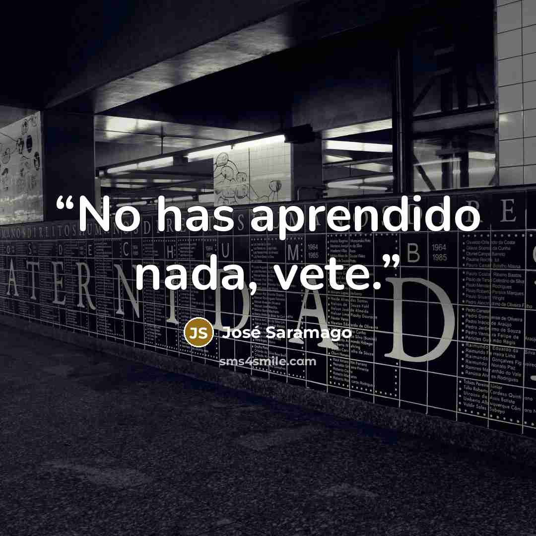“No has aprendido nada, vete.” quote by José Saramago