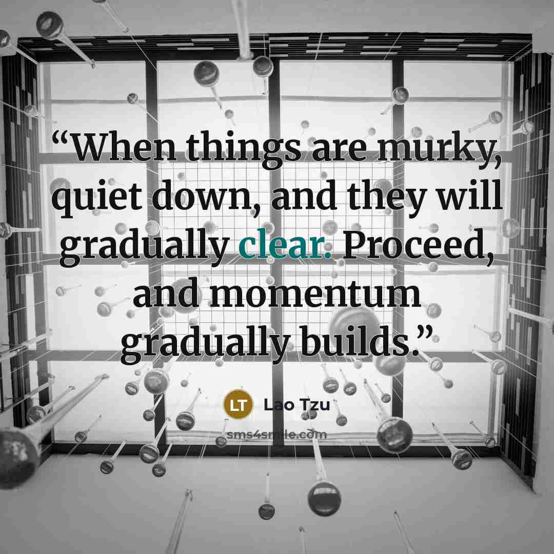 “When things are murky, quiet down, and they will gradually clear. Proceed, and momentum gradually builds.” quote by Lao Tzu