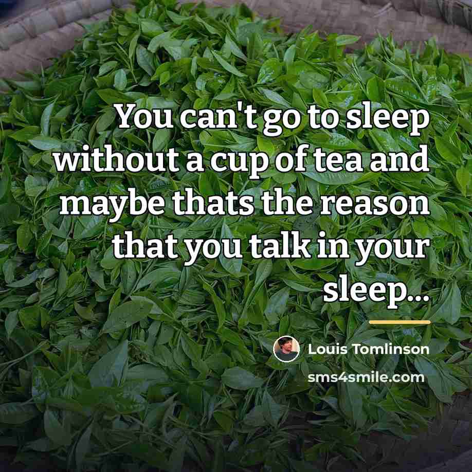 “You can't go to sleep without a cup of tea…” quote by Louis Tomlinson