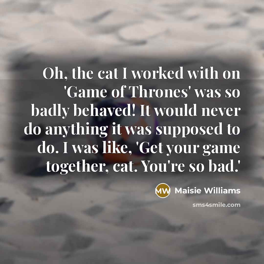“Oh, the cat I worked with on 'Game of Thrones'…” quote by Maisie Williams