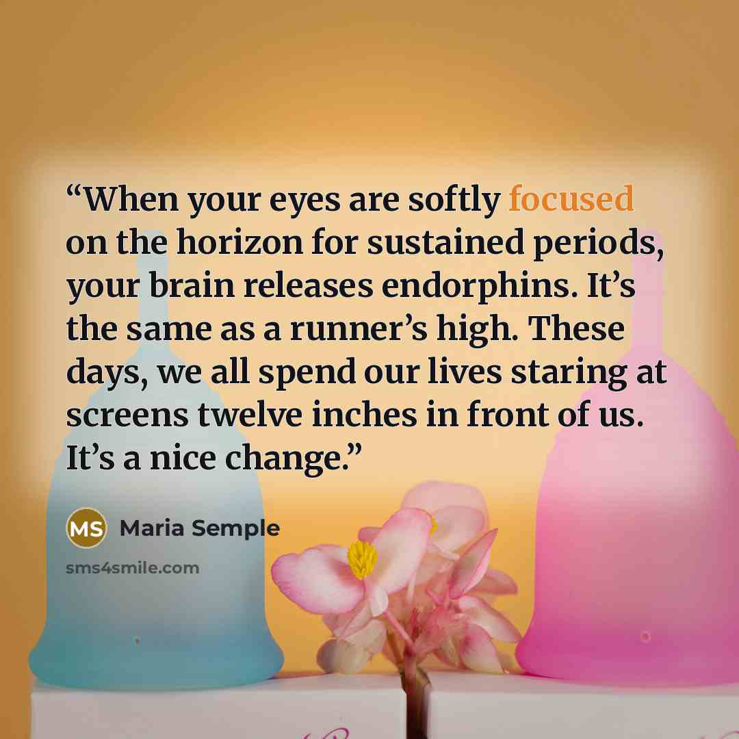 “When your eyes are softly focused on the horizon for sustained periods, your brain releases endorphins. It’s the same as a runner’s high. These days, we all spend our lives staring at screens twelve inches in front of us. It’s a nice change.” quote by Maria Semple