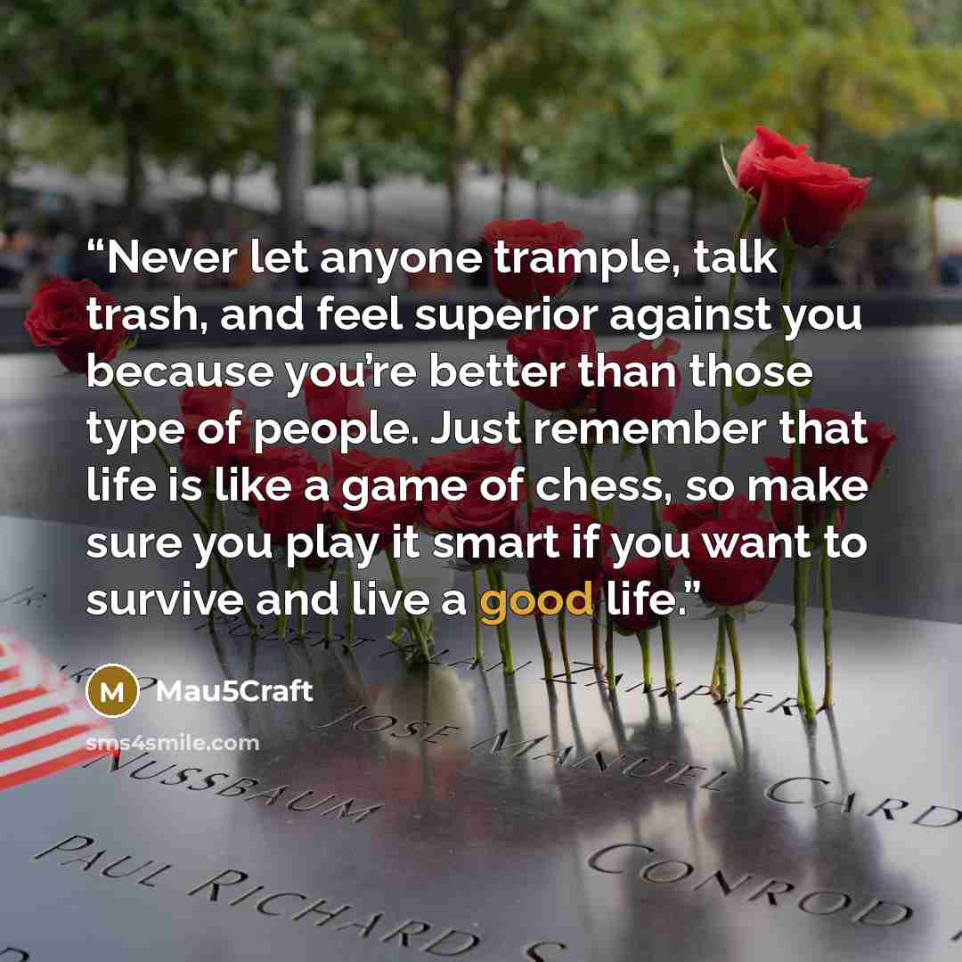 “Never let anyone trample, talk trash, and feel superior against you because you’re better than those type of people. Just remember that life is like a game of chess, so make sure you play it smart if you want to survive and live a good life.” quote by Mau5Craft
