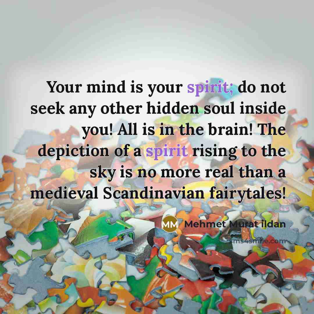 “Your mind is your spirit; do not seek any other…” quote by Mehmet Murat Ildan