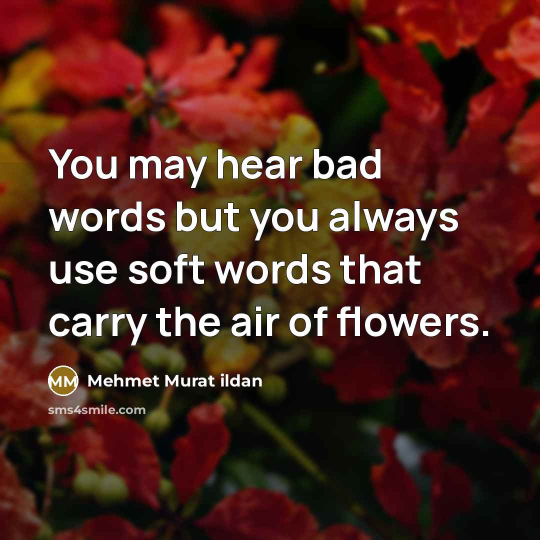 “You may hear bad words but you always use soft…” quote by Mehmet Murat ildan
