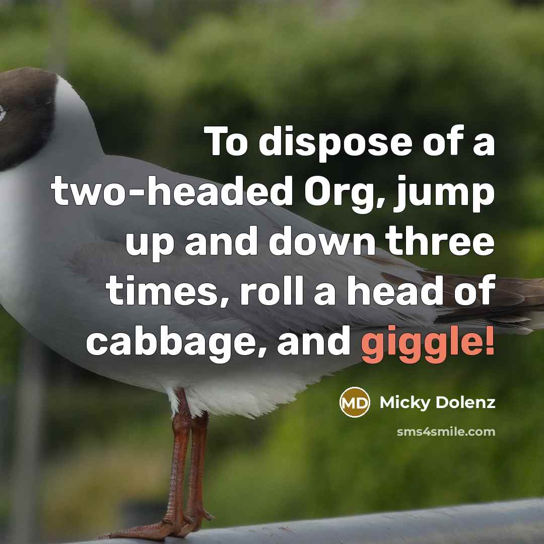 “To dispose of a two-headed Org, jump up and down…” quote by Micky Dolenz