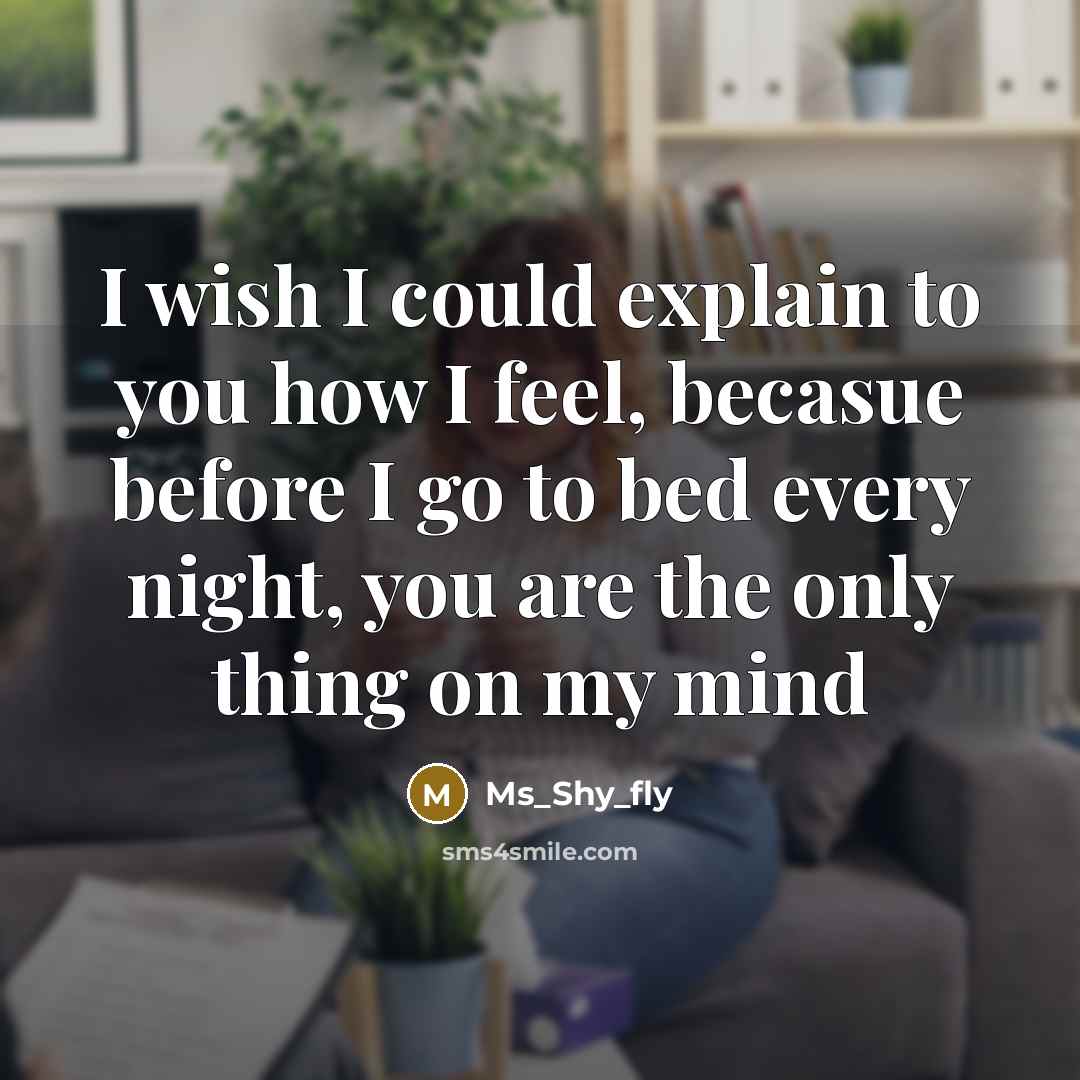 “I wish I could explain to you how I feel,…” quote by Ms_Shy_fly