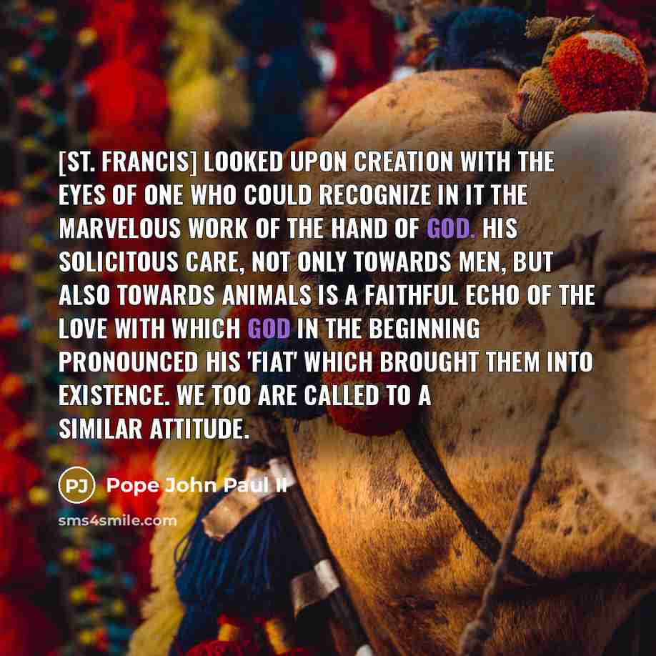 “[St. Francis] looked upon creation with the eyes of one…” quote by Pope John Paul II
