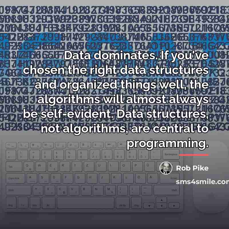 “Data dominates. If you've chosen the right data structures and…” quote by Rob Pike