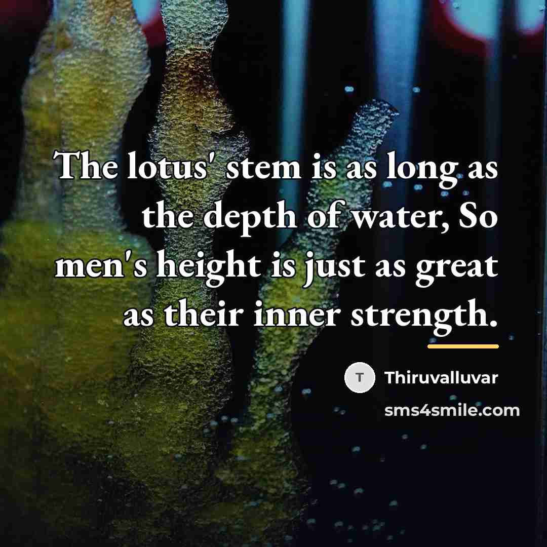“The lotus' stem is as long as the depth of…” quote by Thiruvalluvar