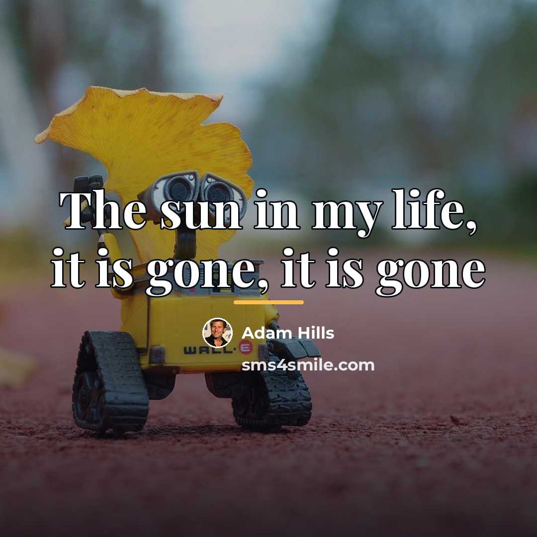 “The sun in my life, it is gone, it is…” quote by Adam Hills