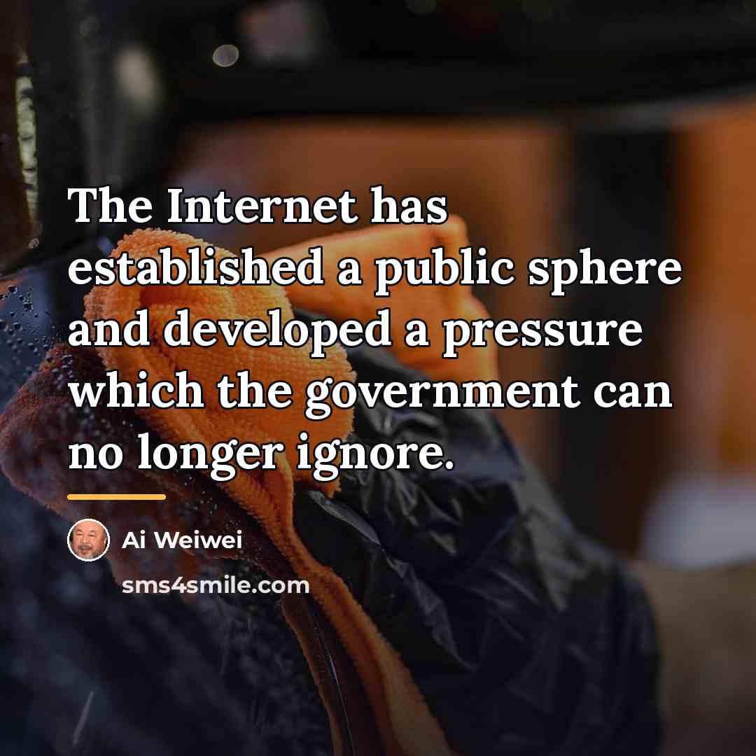 “The Internet has established a public sphere and developed a…” quote by Ai Weiwei