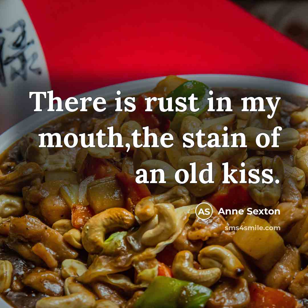 “There is rust in my mouth,the stain of an old…” quote by Anne Sexton