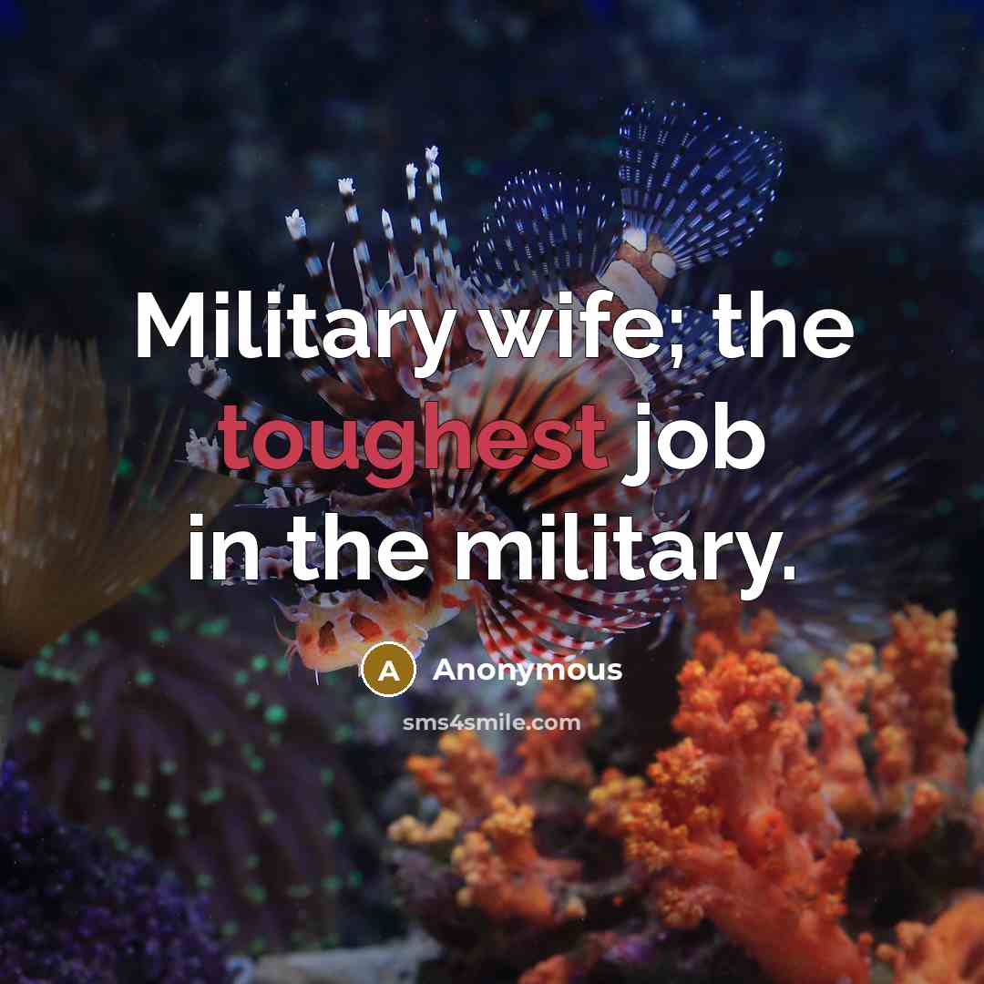 “Military wife; the toughest job in the military.…” quote by Anonymous