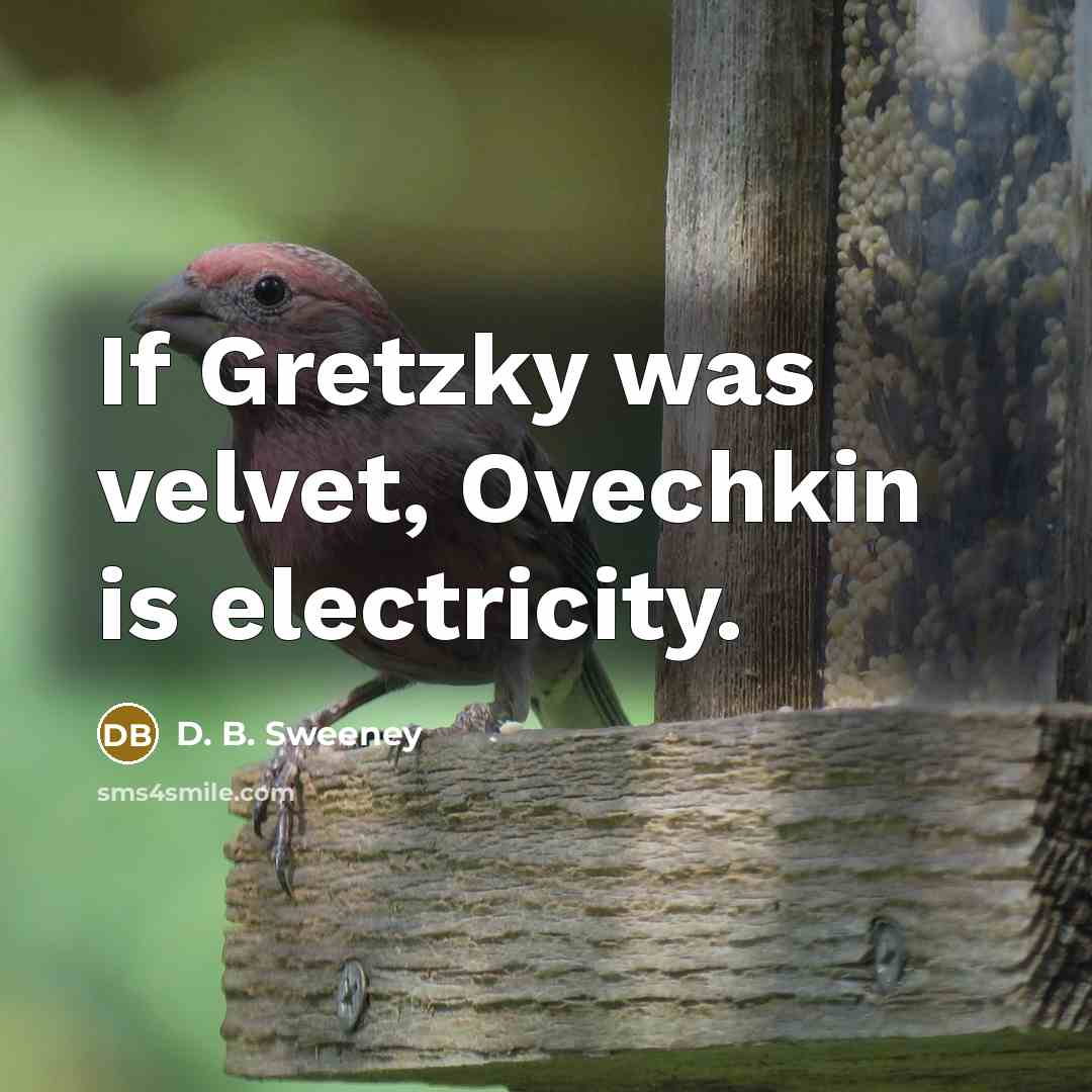 “If Gretzky was velvet, Ovechkin is electricity.…” quote by D. B. Sweeney