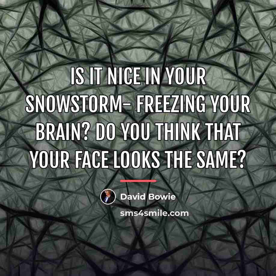 “Is it Nice in your snowstorm- freezing your brain? Do…” quote by David Bowie