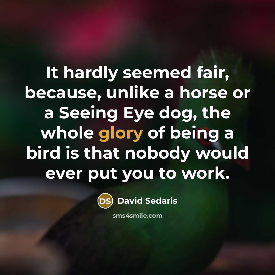“It hardly seemed fair, because, unlike a horse or a…” quote by David Sedaris