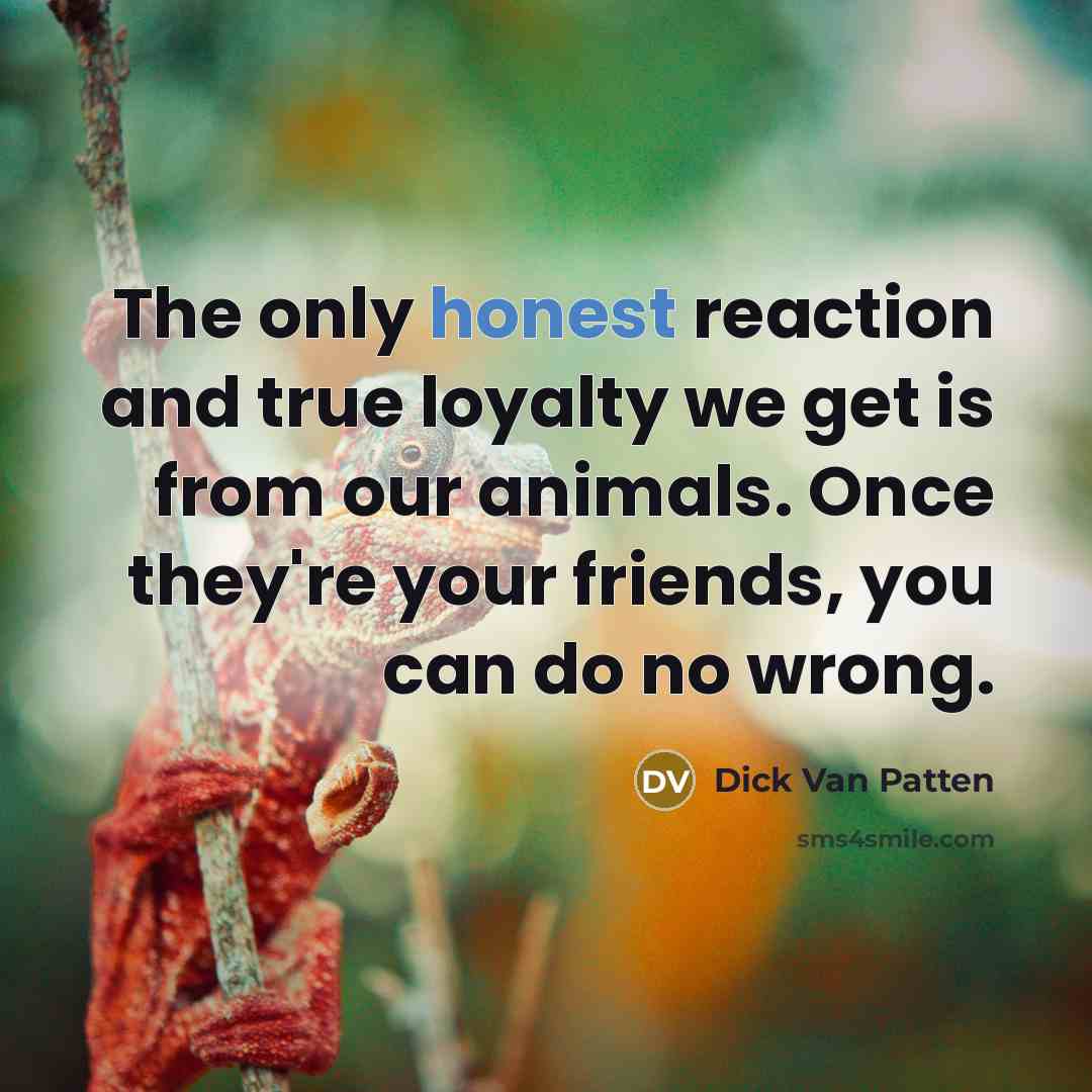 “The only honest reaction and true loyalty we get is…” quote by Dick Van Patten