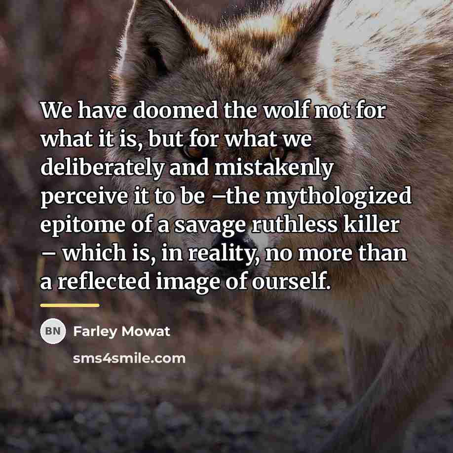 “We have doomed the wolf not for what it is,…” quote by Farley Mowat