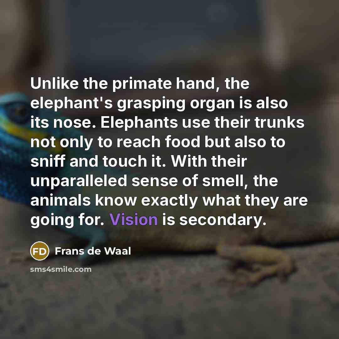 “Unlike the primate hand, the elephant's grasping organ is also…” quote by Frans de Waal