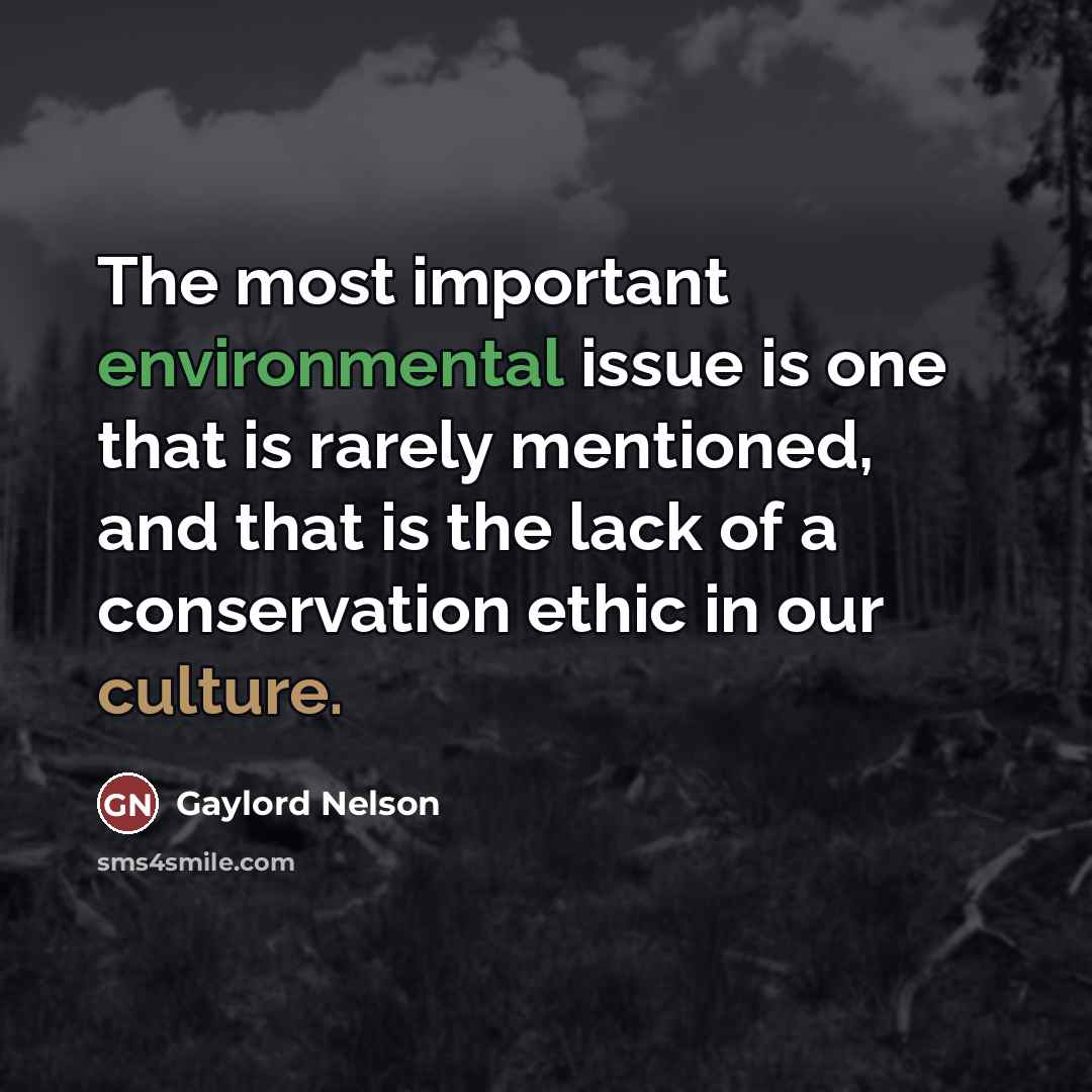 “The most important environmental issue is one that is rarely…” quote by Gaylord Nelson
