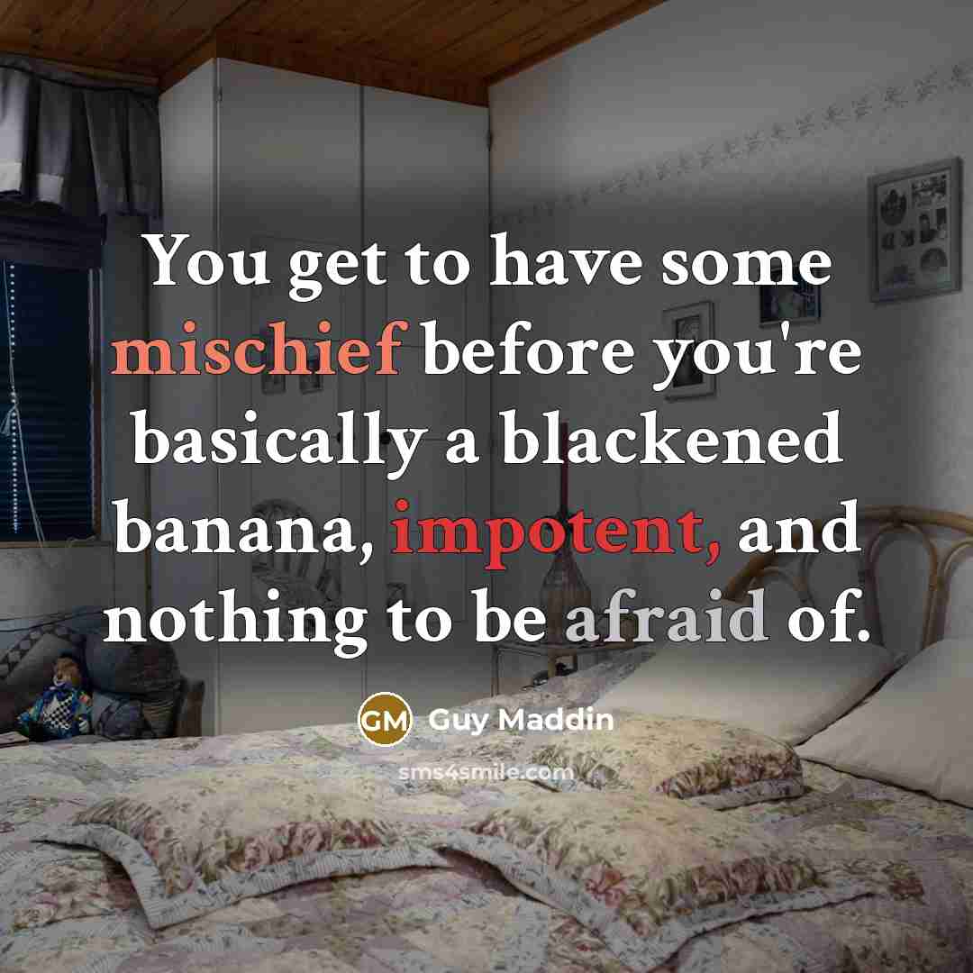“You get to have some mischief before you're basically a…” quote by Guy Maddin