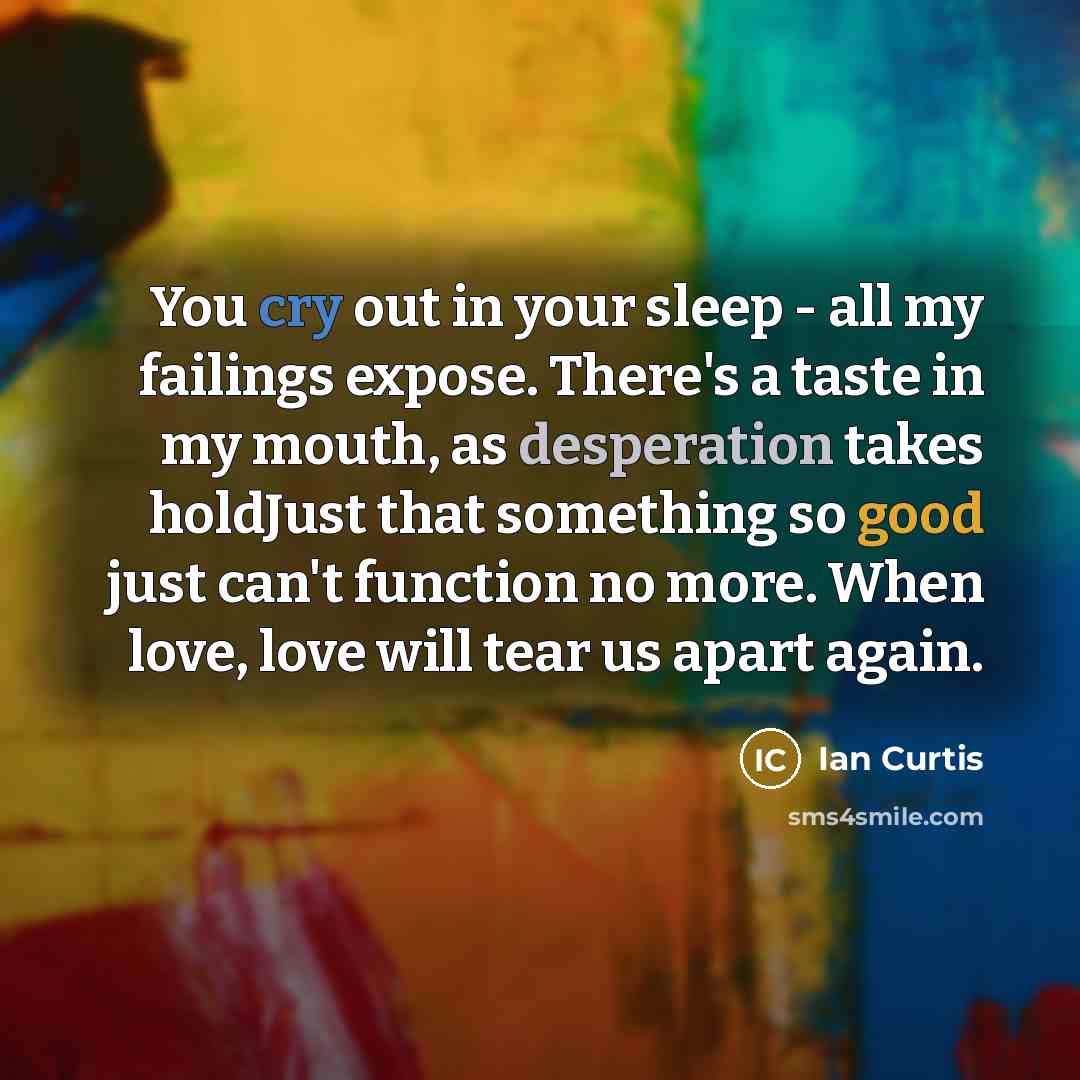“You cry out in your sleep - all my failings…” quote by Ian Curtis