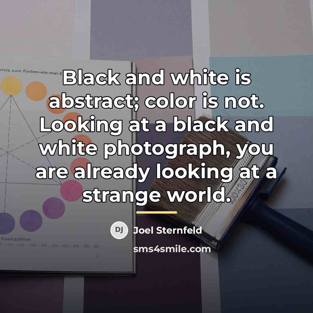 “Black and white is abstract; color is not. Looking at…” quote by Joel Sternfeld