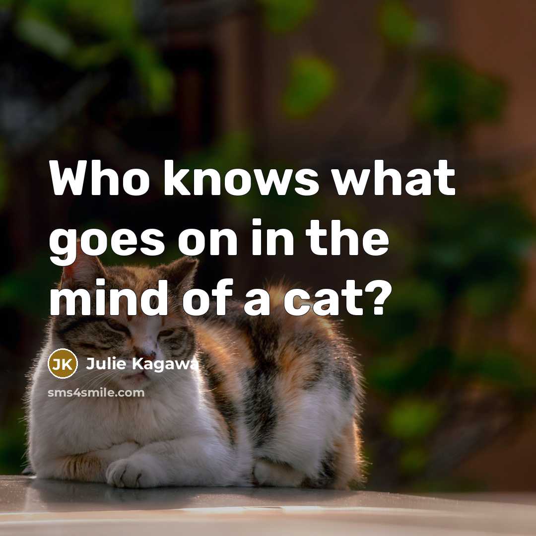 “Who knows what goes on in the mind of a…” quote by Julie Kagawa
