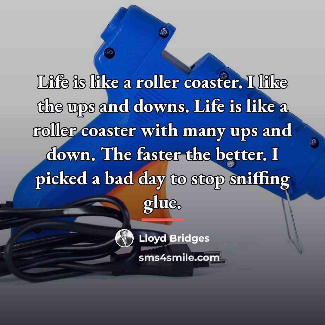 “Life is like a roller coaster. I like the ups…” quote by Lloyd Bridges