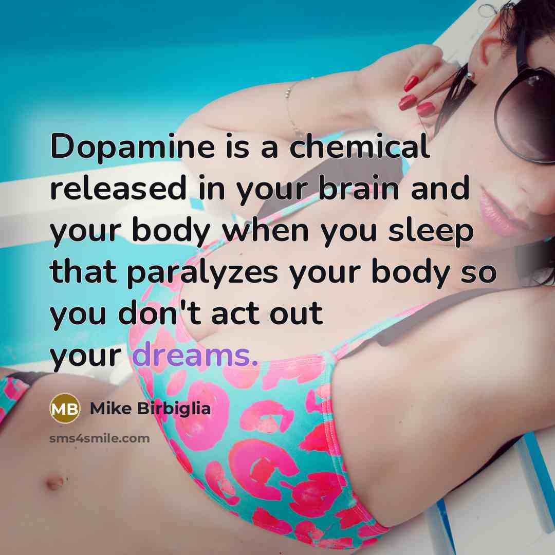 “Dopamine is a chemical released in your brain and your…” quote by Mike Birbiglia