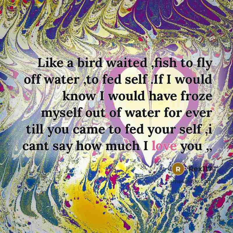 “Like a bird waited ,fish to fly off water ,to…” quote by Rex117