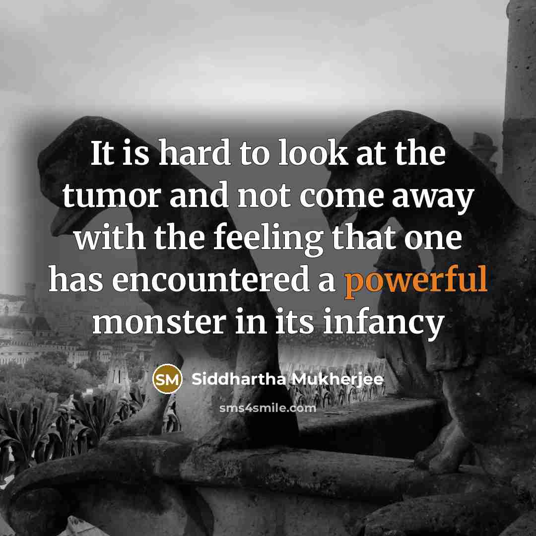 “It is hard to look at the tumor and not come away with the feeling that one has encountered a powerful monster in its infancy” quote by Siddhartha Mukherjee