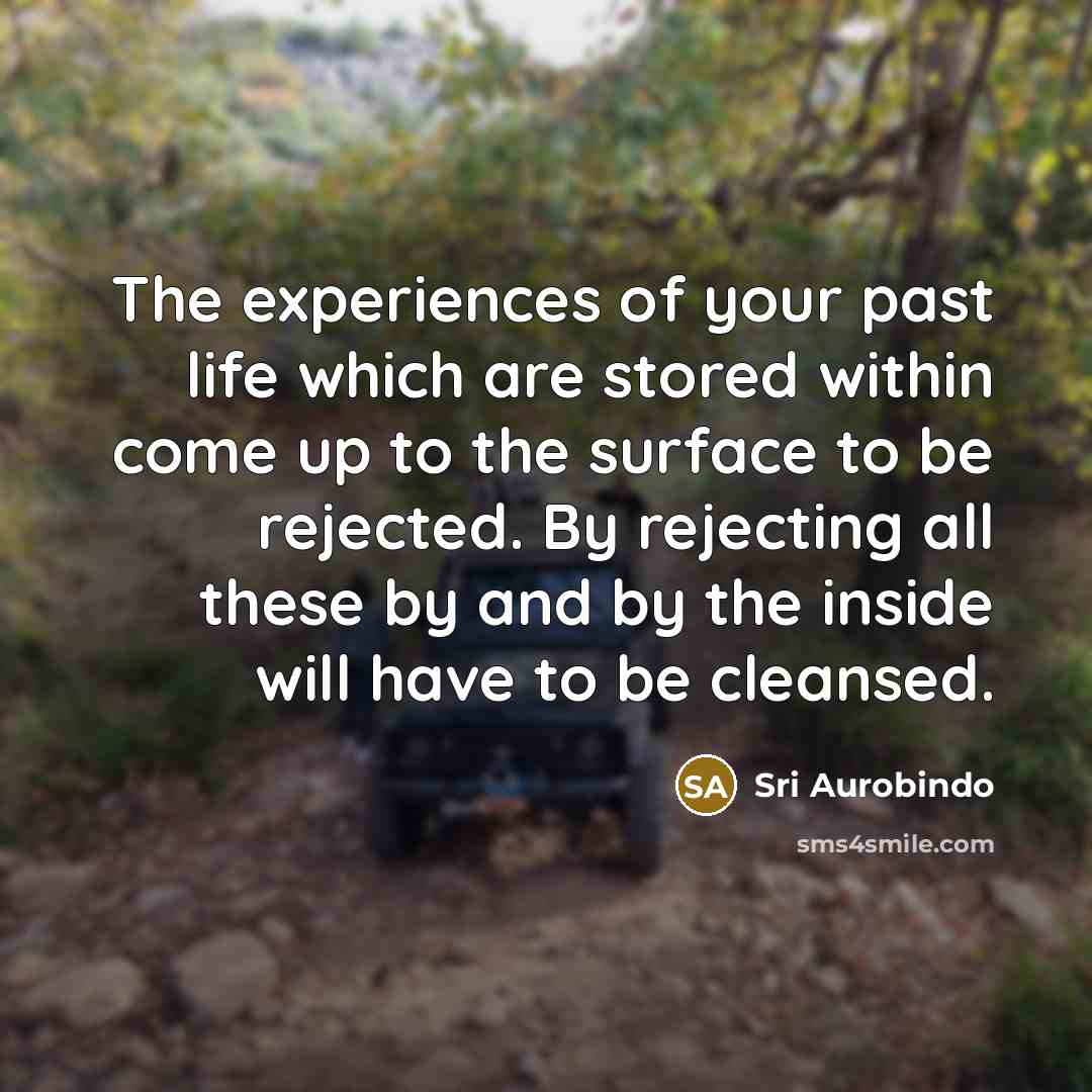 “The experiences of your past life which are stored within…” quote by Sri Aurobindo