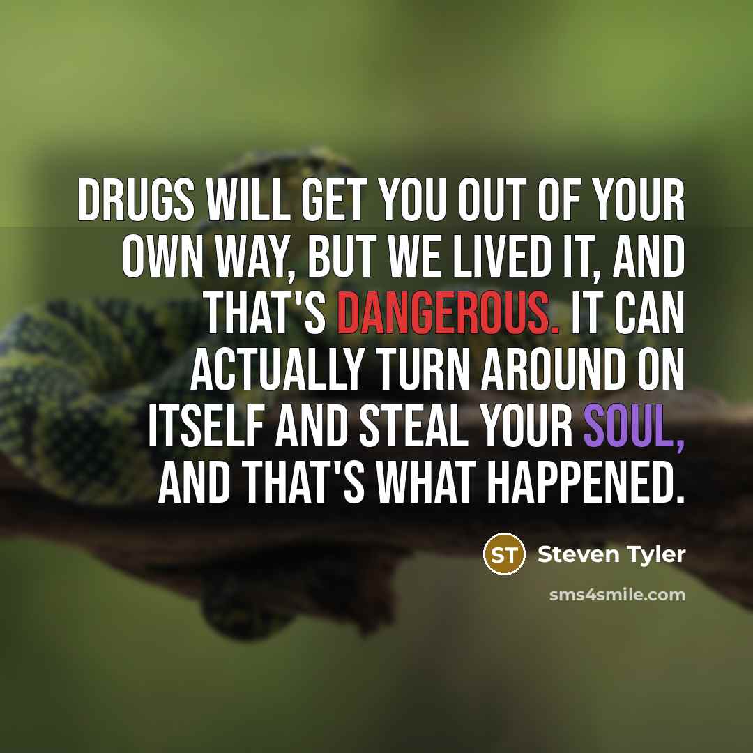 “Drugs will get you out of your own way, but…” quote by Steven Tyler