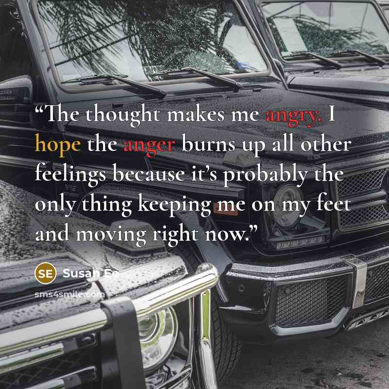 “The thought makes me angry. I hope the anger burns up all other feelings because it’s probably the only thing keeping me on my feet and moving right now.” quote by Susan Ee
