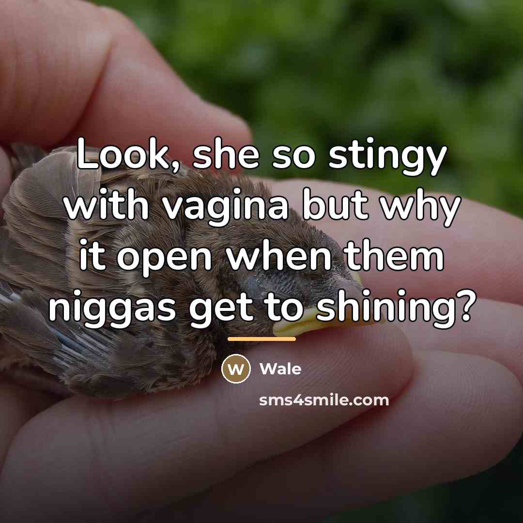 “Look, she so stingy with vagina but why it open…” quote by Wale