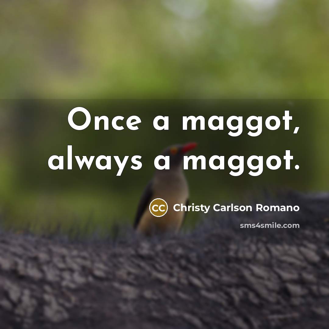 “Once a maggot, always a maggot.…” quote by Christy Carlson Romano