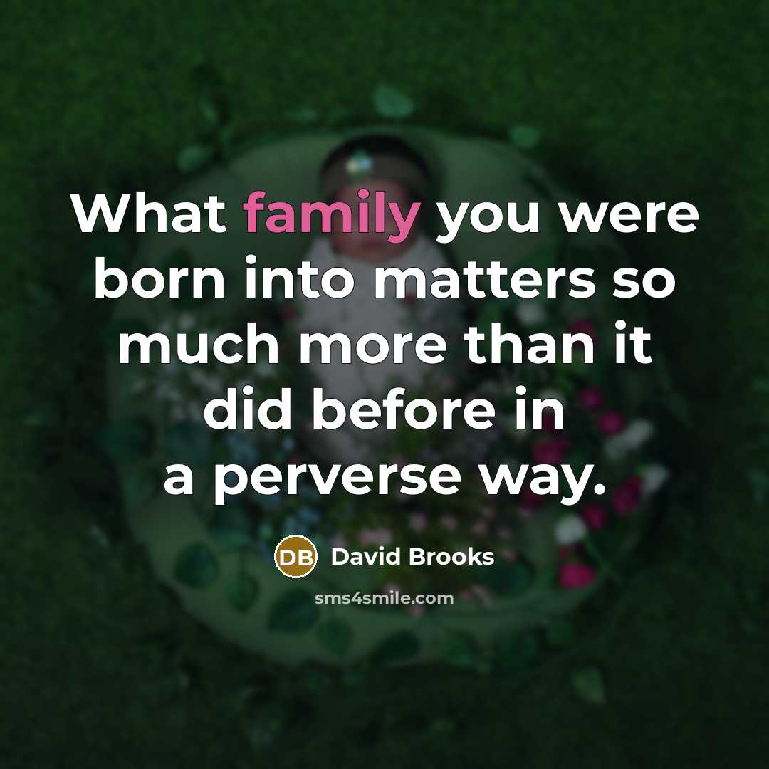 “What family you were born into matters so much more…” quote by David Brooks