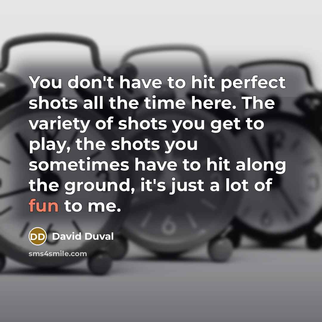 “You don't have to hit perfect shots all the time…” quote by David Duval
