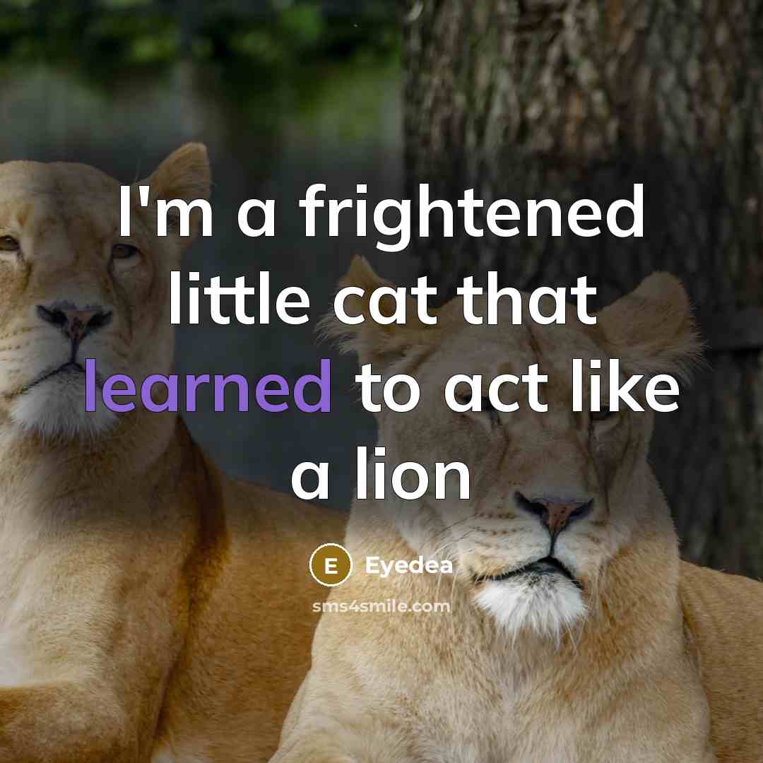 “I'm a frightened little cat that learned to act like…” quote by Eyedea